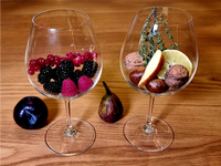 Wein Sensorik Aromen im Weinglas Beeren Feigen Zitrone Apfel Nüsse